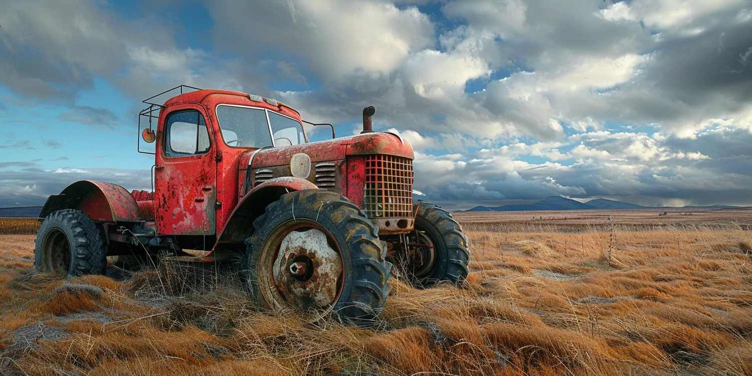 Trawa z rolki gdzie kupić?