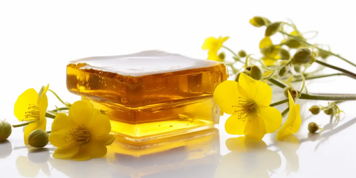 Miód nektarowo-spadziowy dla zdrowia